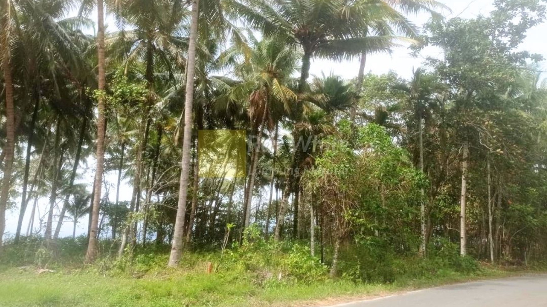 Dijual Tanah Tepi Pantai Krui Pesisir Barat