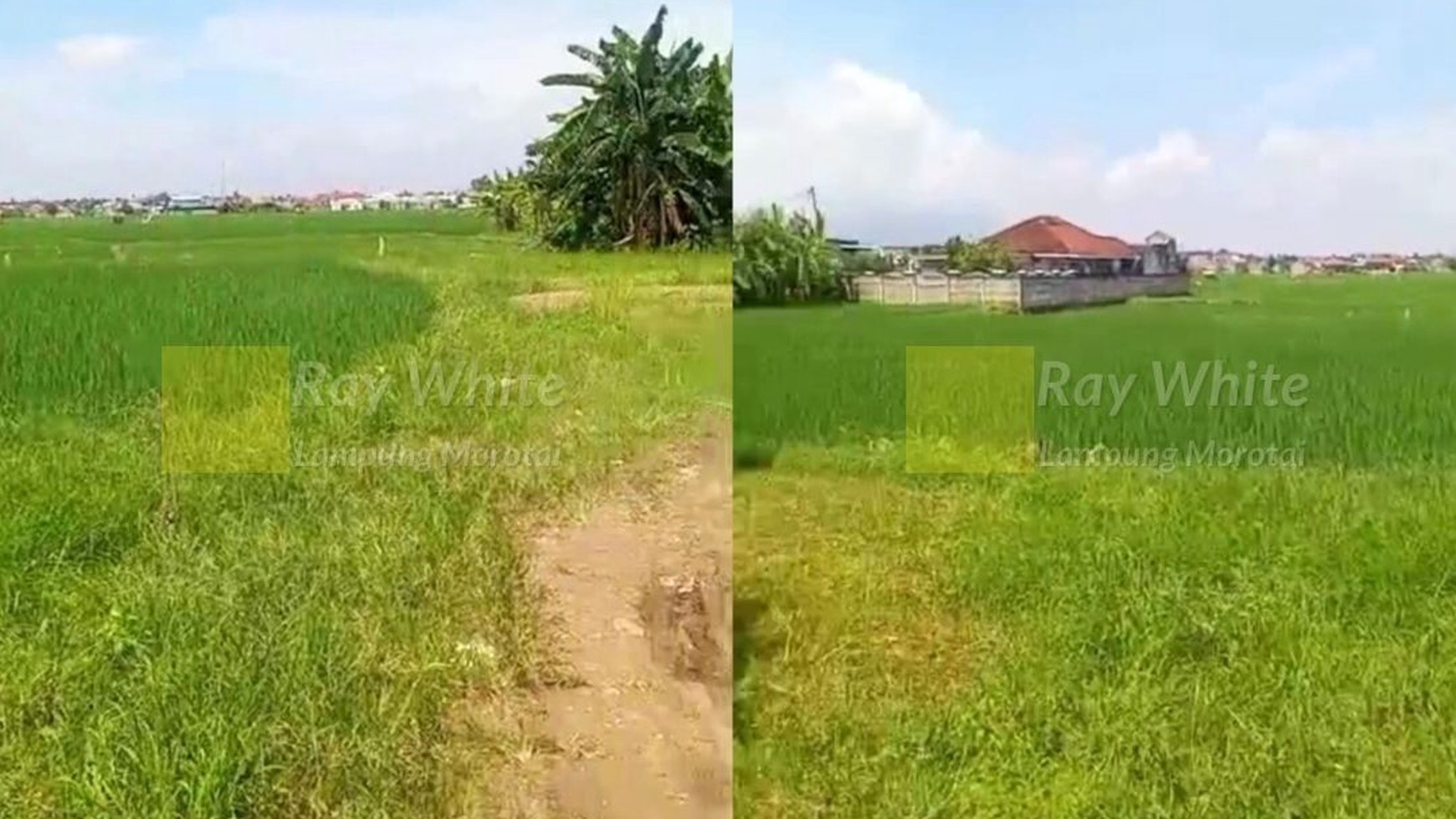 Dijual Tanah 3 Hektar Sukarame Bandar Lampung