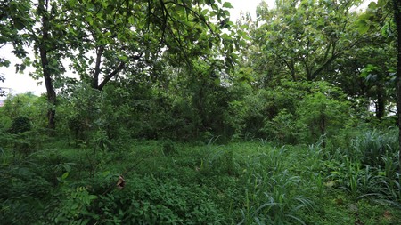 Tanah Srategis di Curug Gunung Sindur Bogor, dekat Sawangan Depok