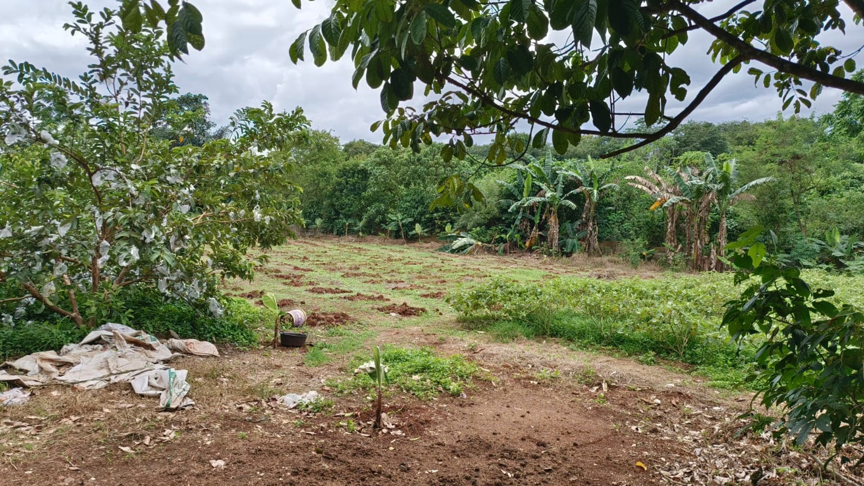 Lahan Perkebunan cocok untuk Perumahan di Mekarsari Rumpin Bogor