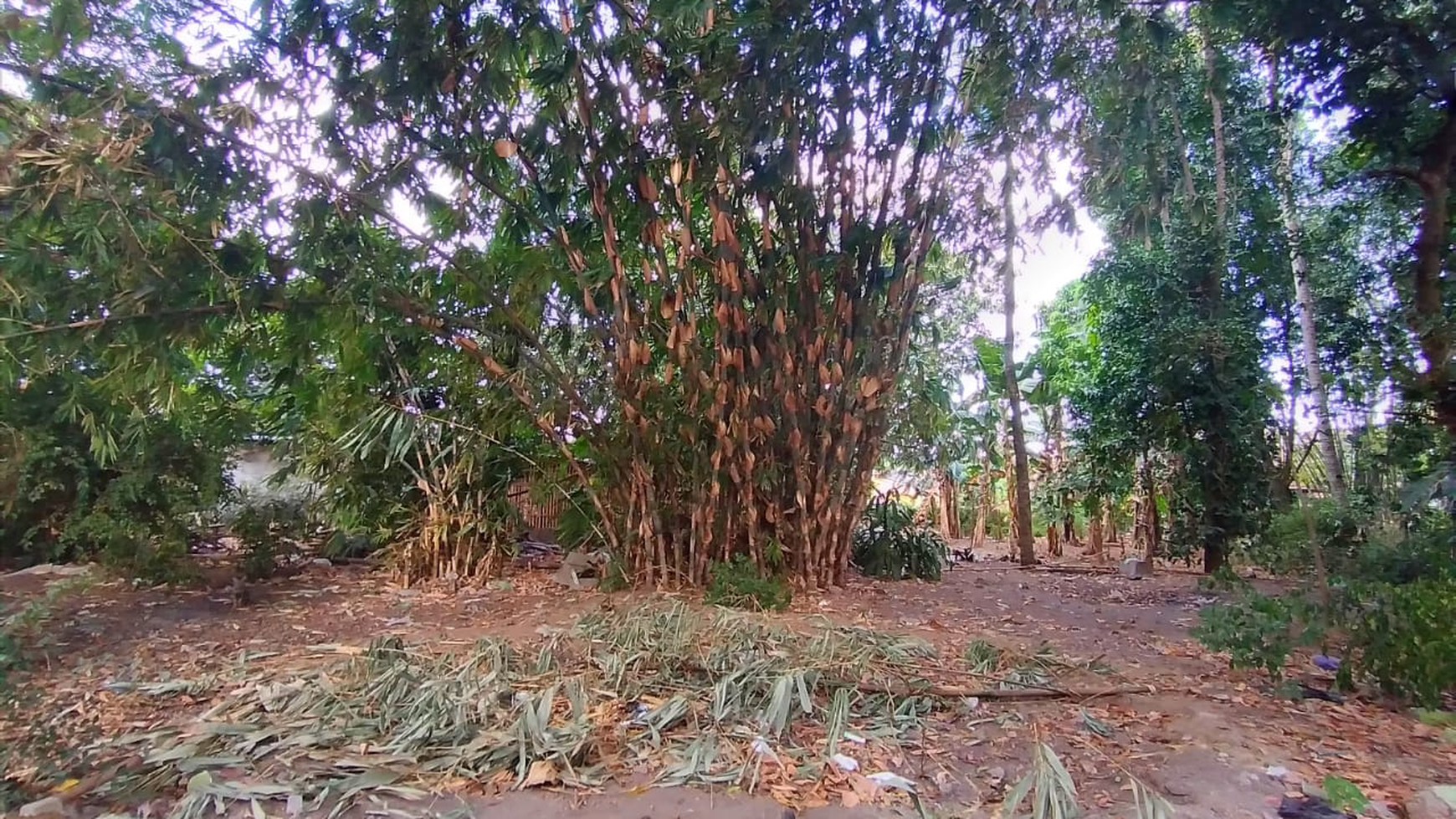 TANAH PEKARANGAN DI TENGAH KOTA, DI JL kAPTEN PIERRE TENDEAN , WIROBRAJAN