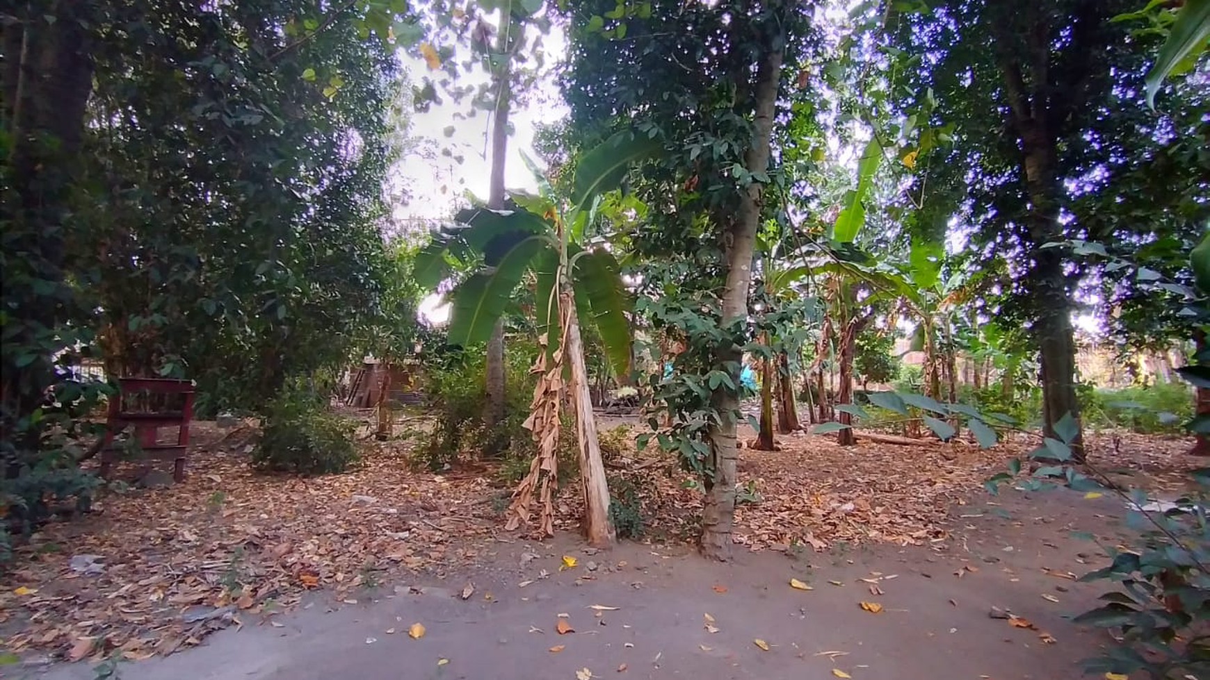 TANAH PEKARANGAN DI TENGAH KOTA, DI JL kAPTEN PIERRE TENDEAN , WIROBRAJAN