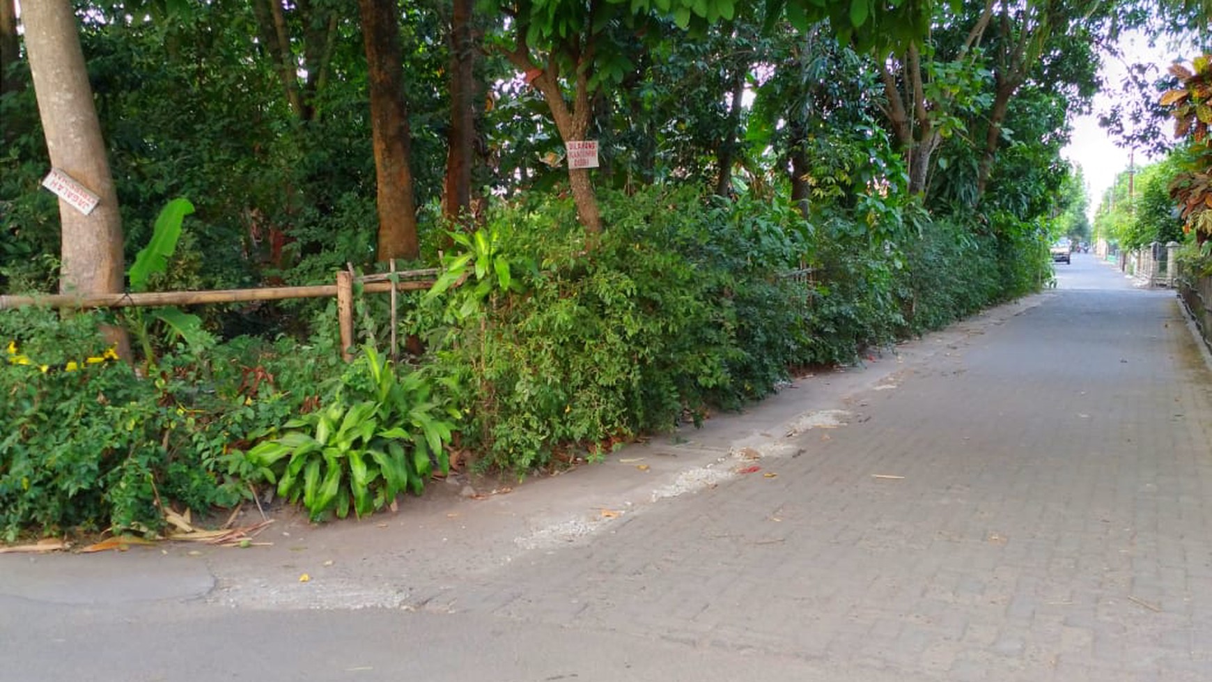 TANAH PEKARANGAN DI TENGAH KOTA, DI JL kAPTEN PIERRE TENDEAN , WIROBRAJAN