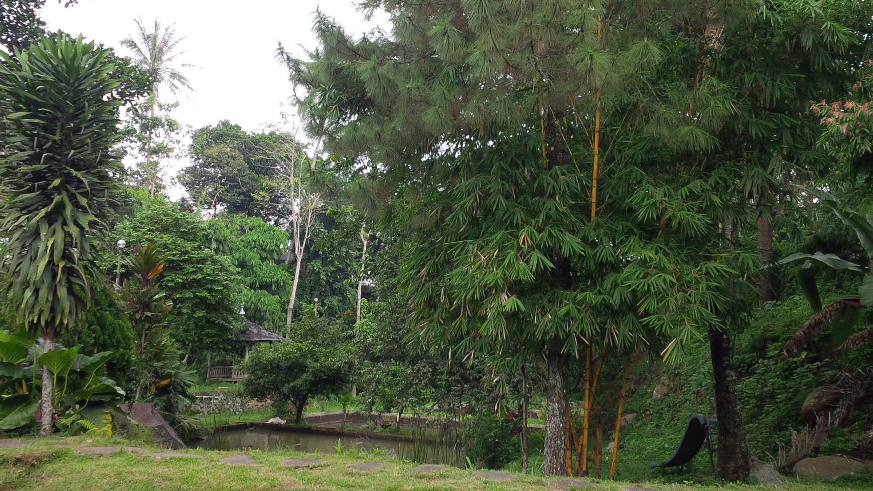 TURUN HARGA KAVLING DI JL. RAYA CIJERUK, BOGOR