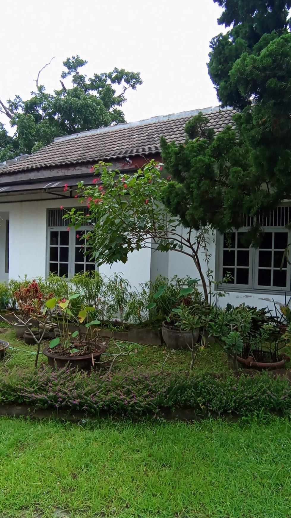 Rumah Tinggal Lokasi Tengah Kota di Jalan Wahidin Sudirohusodo Klaten Tengah