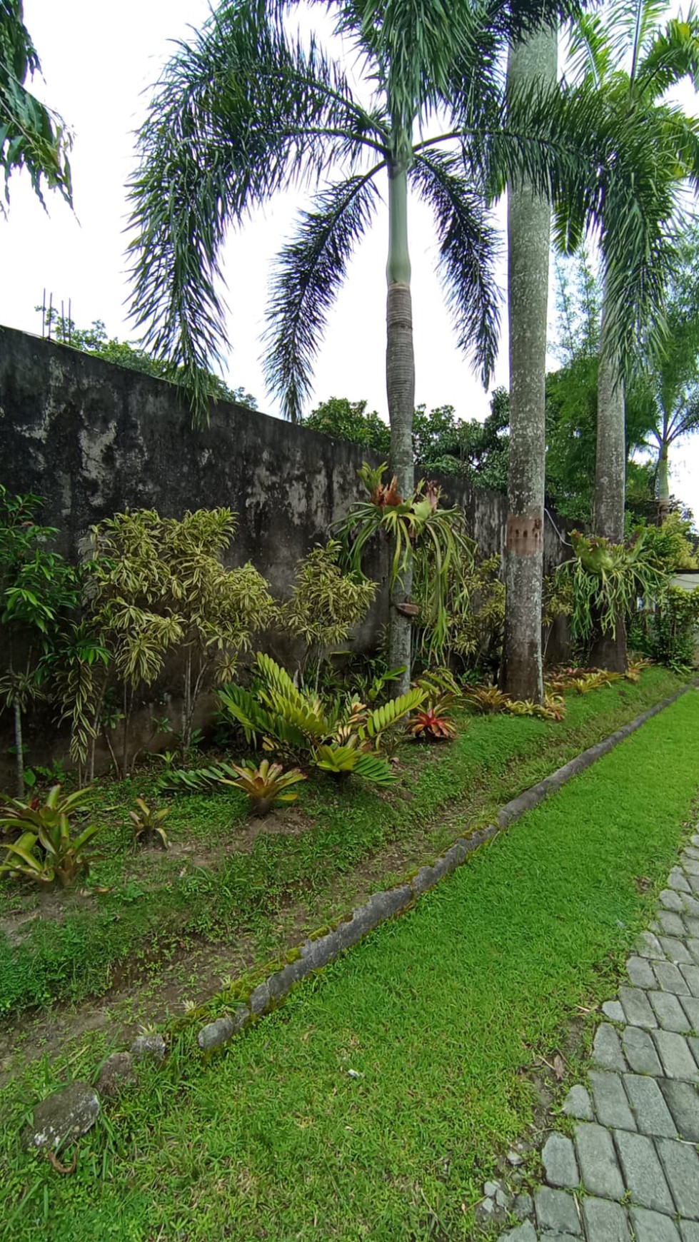 Rumah Tinggal Lokasi Tengah Kota di Jalan Wahidin Sudirohusodo Klaten Tengah