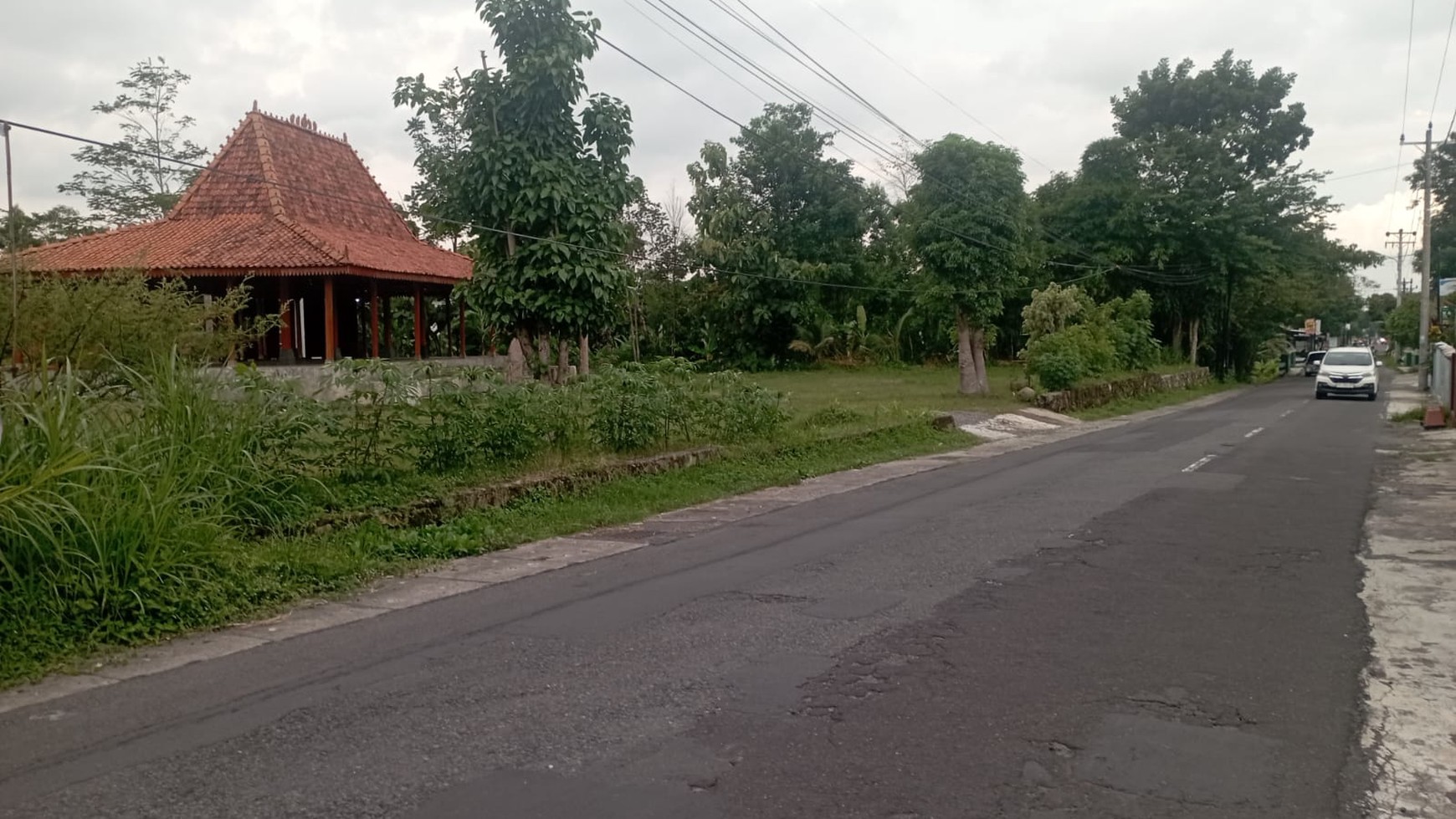 Tanah Pekarangan Luas 2600 Meter Persegi Lokasi Jalan Raya Selomartani, Kalasan