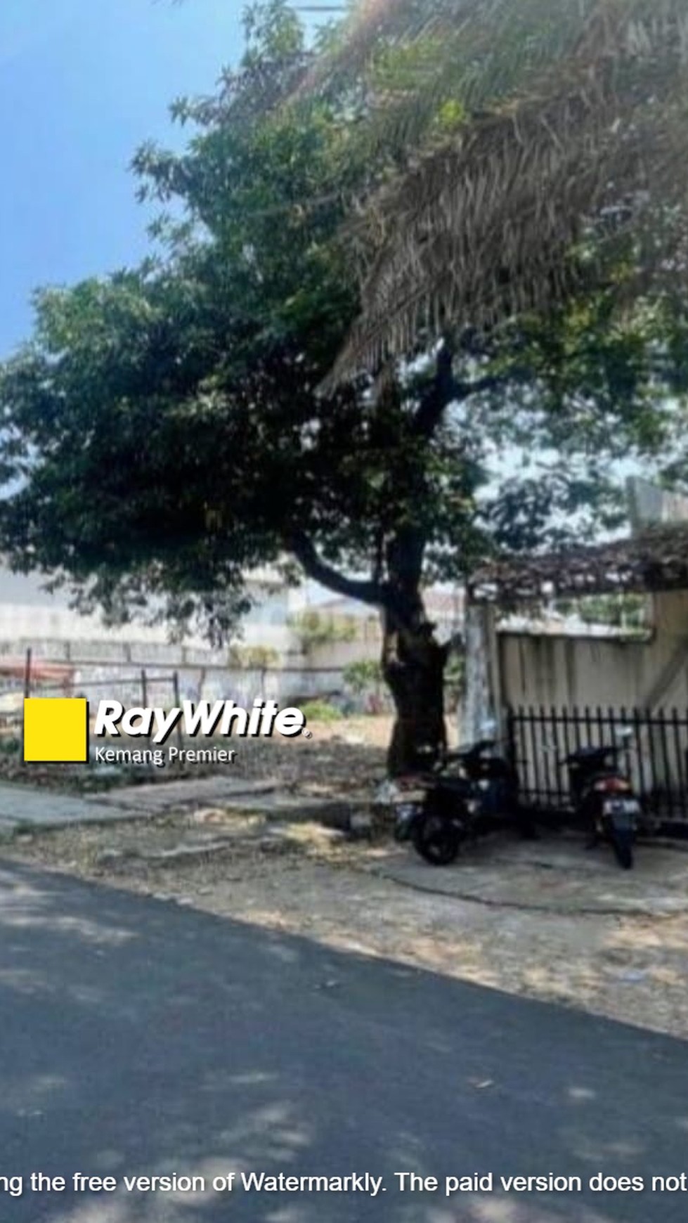 Rumah Cocok Untuk Hunian & Asri Jalan Cempaka Putih