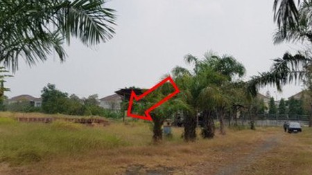 Lelang Tanah Komplek Perumahan Pinus Harapan (13), Lidah Wetan, Surabaya