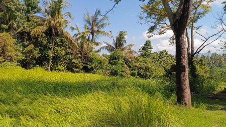 Land Freehold 7 Minute To The Beach Tumbu Karangasem Bali