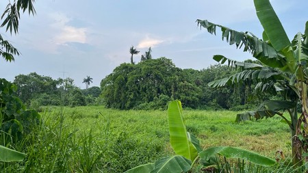 TANAH LUAS DI JAPOS CILEDUG TANGERANG