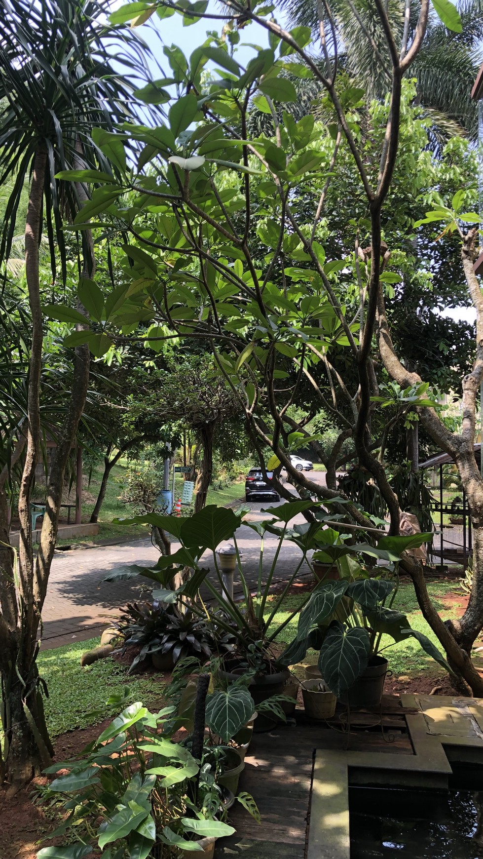 Rumah Hook di Delatinos BSD City ada Gazebo dan Kolam Ikan dekat Tol
