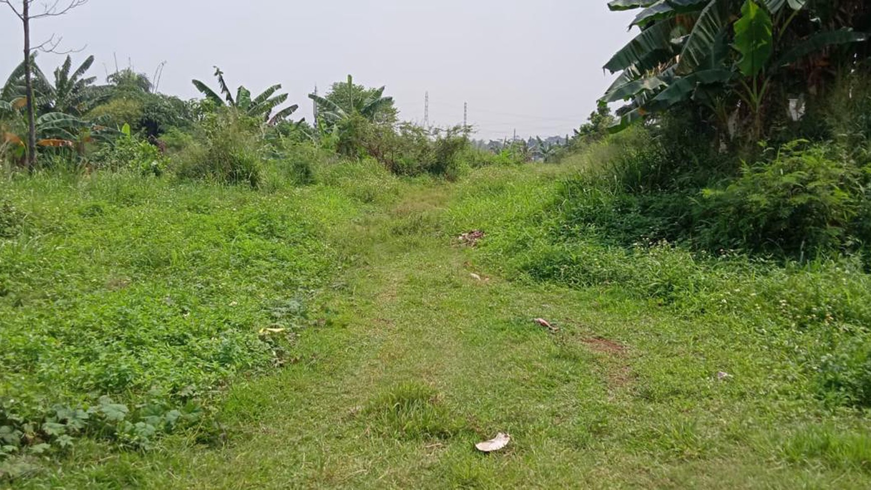 Tanah di pinggir jalan raya Bojong Nangka Cikeas depan Paspampres Gunung Putri Bogor