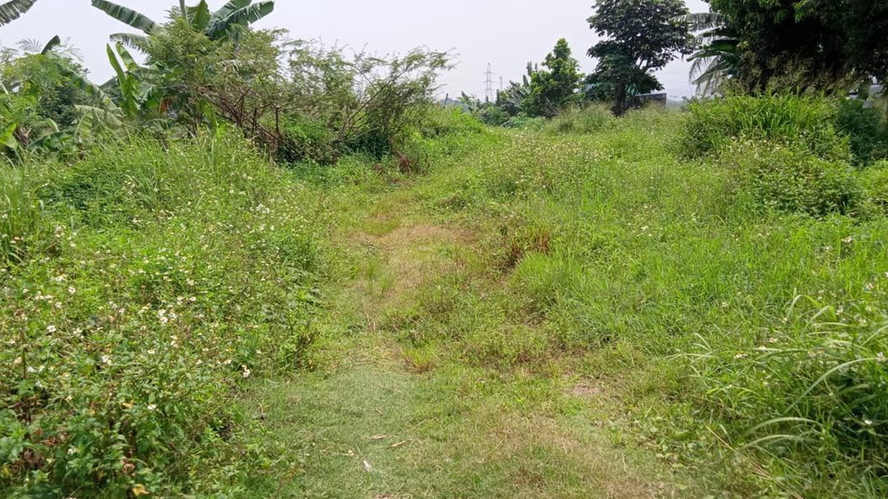 Tanah di pinggir jalan raya Bojong Nangka Cikeas depan Paspampres Gunung Putri Bogor