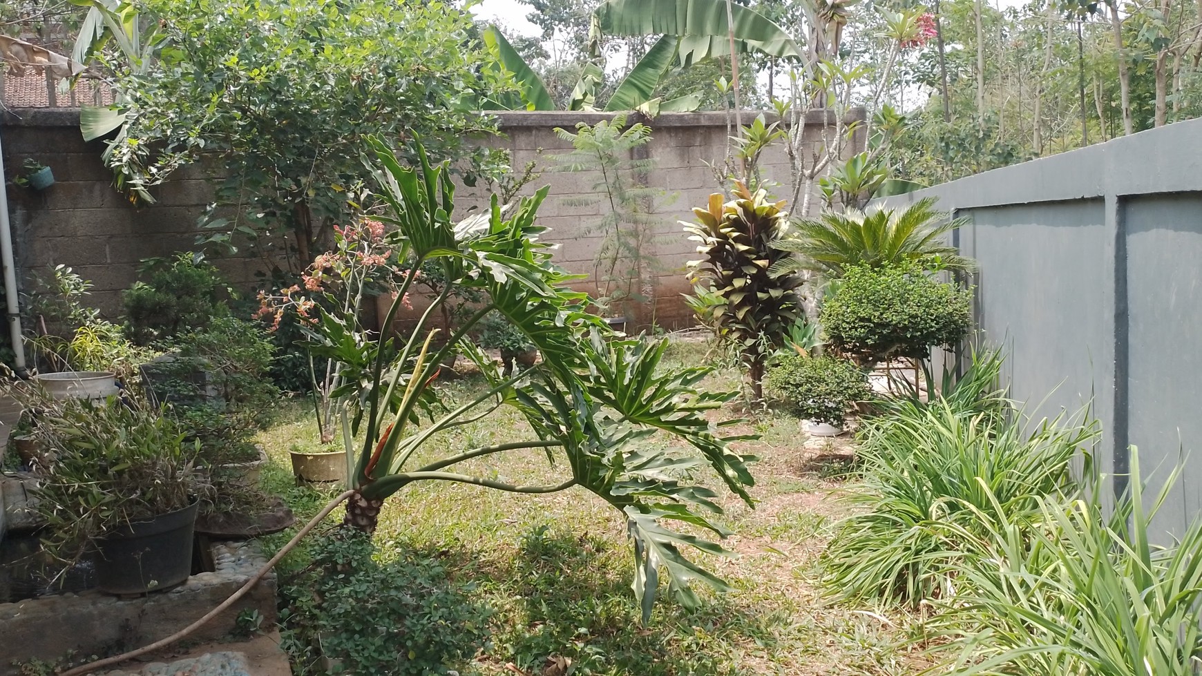 Rumah Asri di Kabupaten Bandung