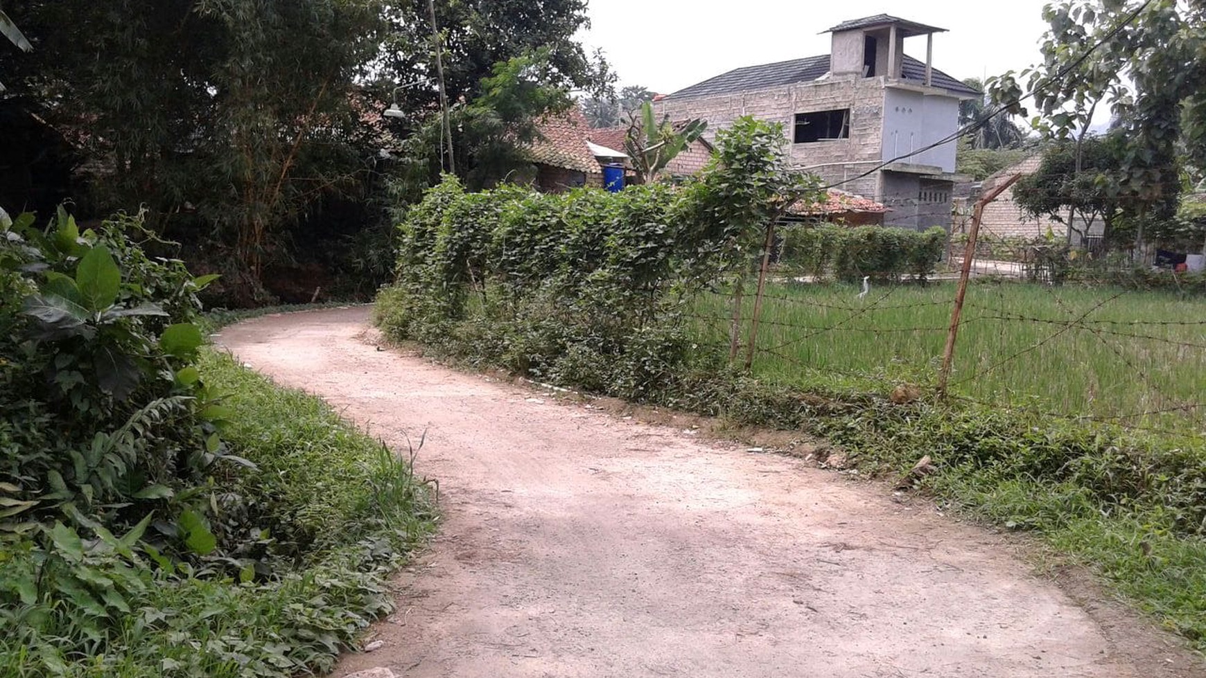 TURUN HARGA KAVLING DI JL. RAYA CIJERUK, BOGOR