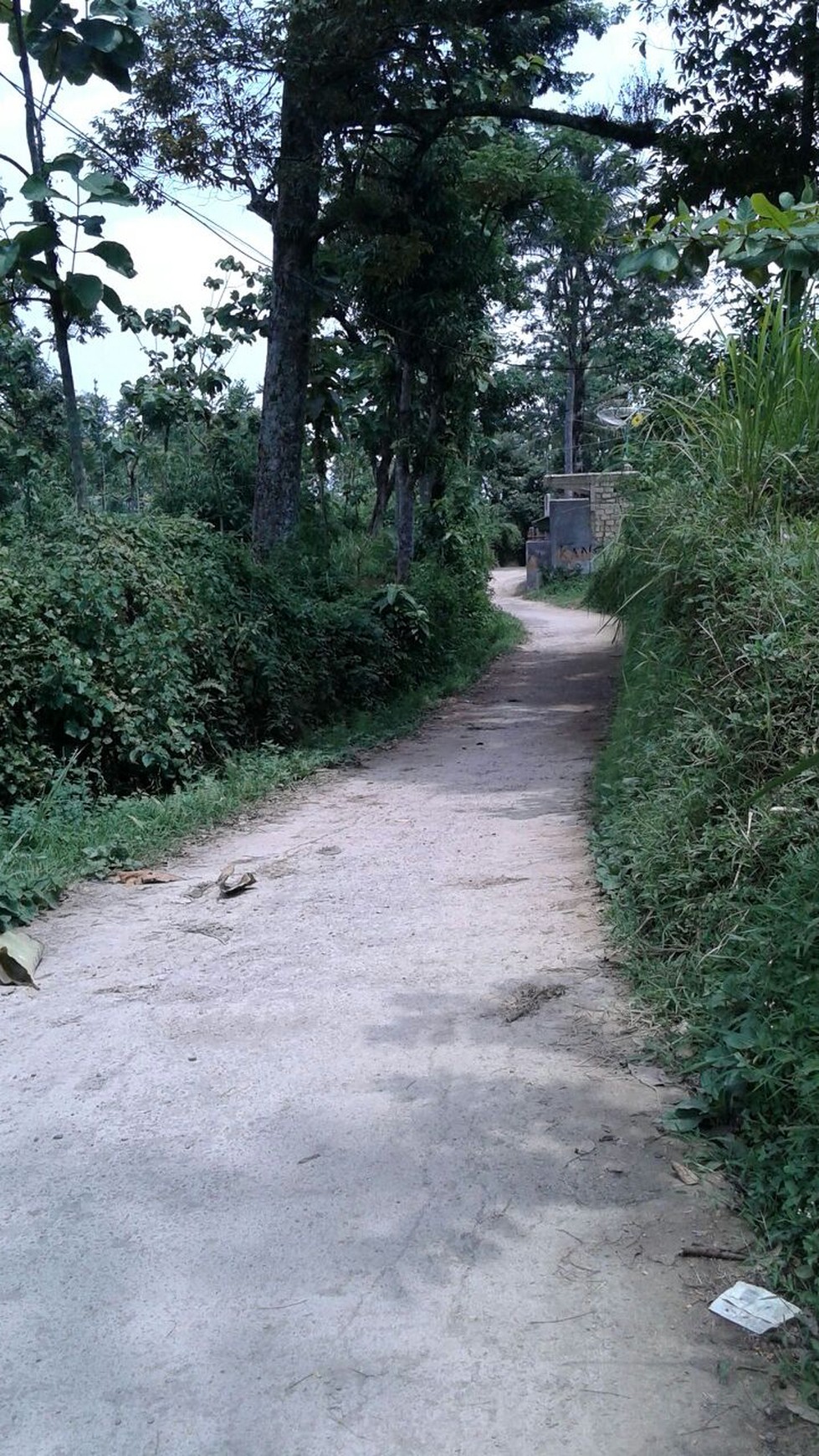 TURUN HARGA KAVLING DI JL. RAYA CIJERUK, BOGOR