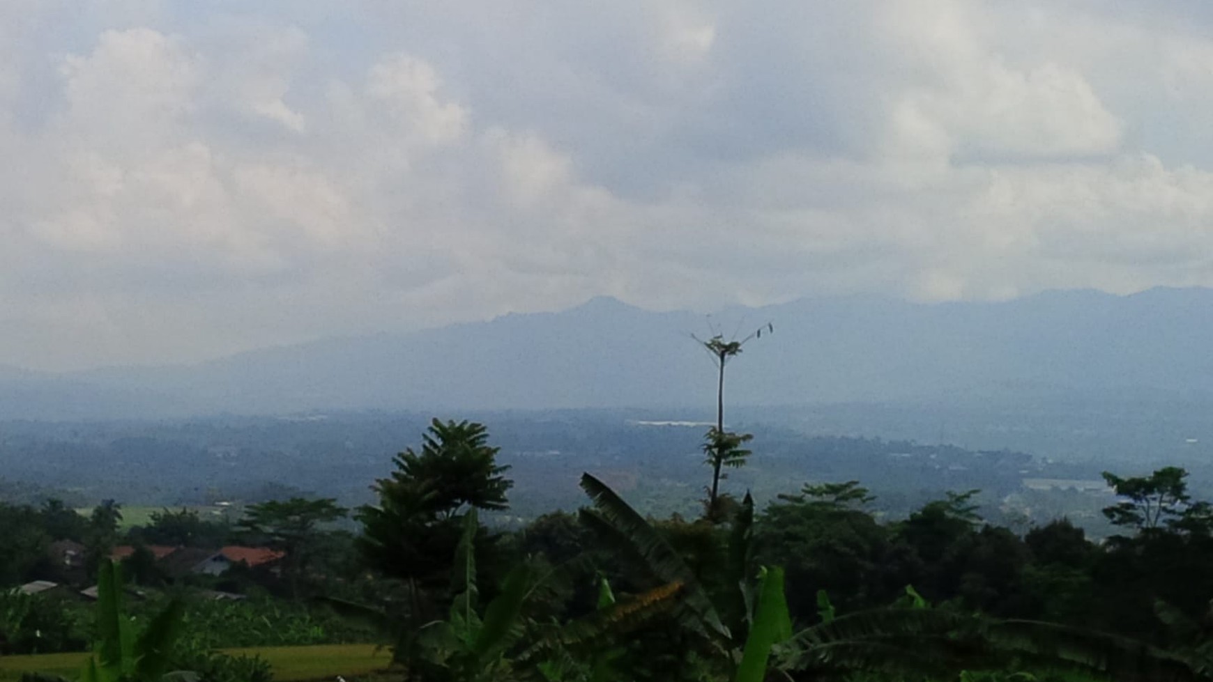 TURUN HARGA KAVLING DI JL. RAYA CIJERUK, BOGOR