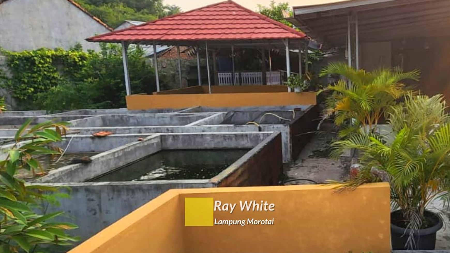 Dijual Rumah Bonus Kolam Ikan br