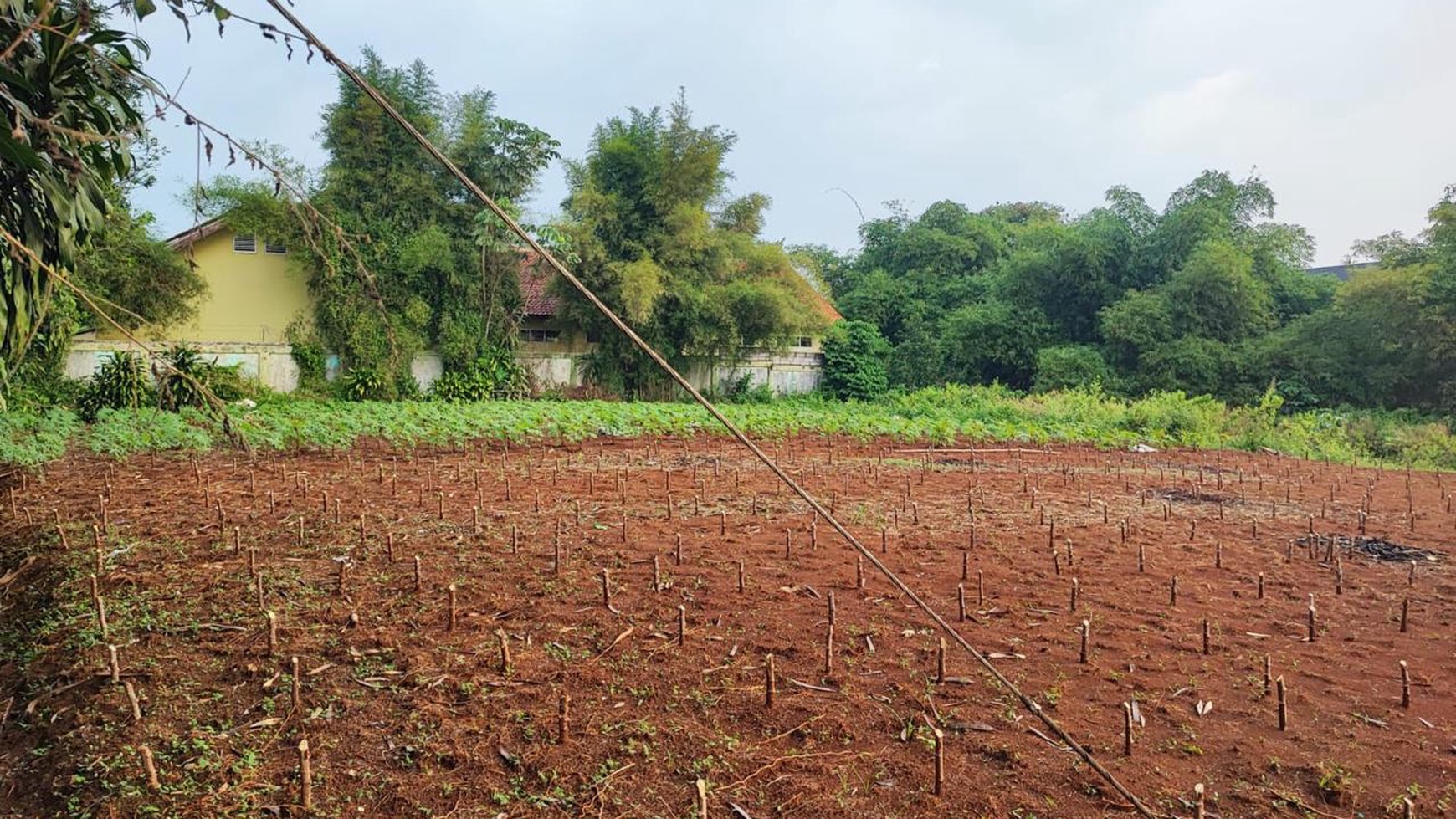 Kavling Siap Bangun Di Desa Cikeas, Jl Babakan Tumas, Sentul Jawa Barat