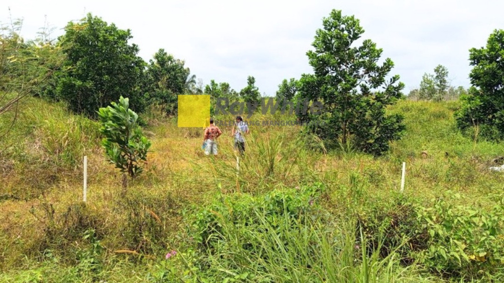 Tanah Dijual Kawasan Industri Desa Gasing Talang Kelapa