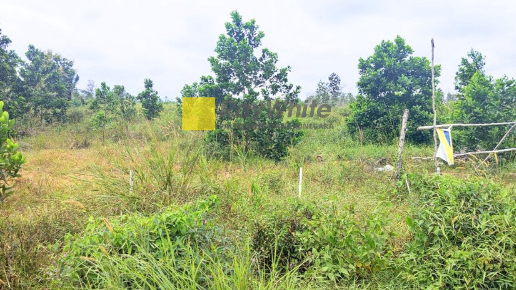 Tanah Dijual Kawasan Industri Desa Gasing Talang Kelapa