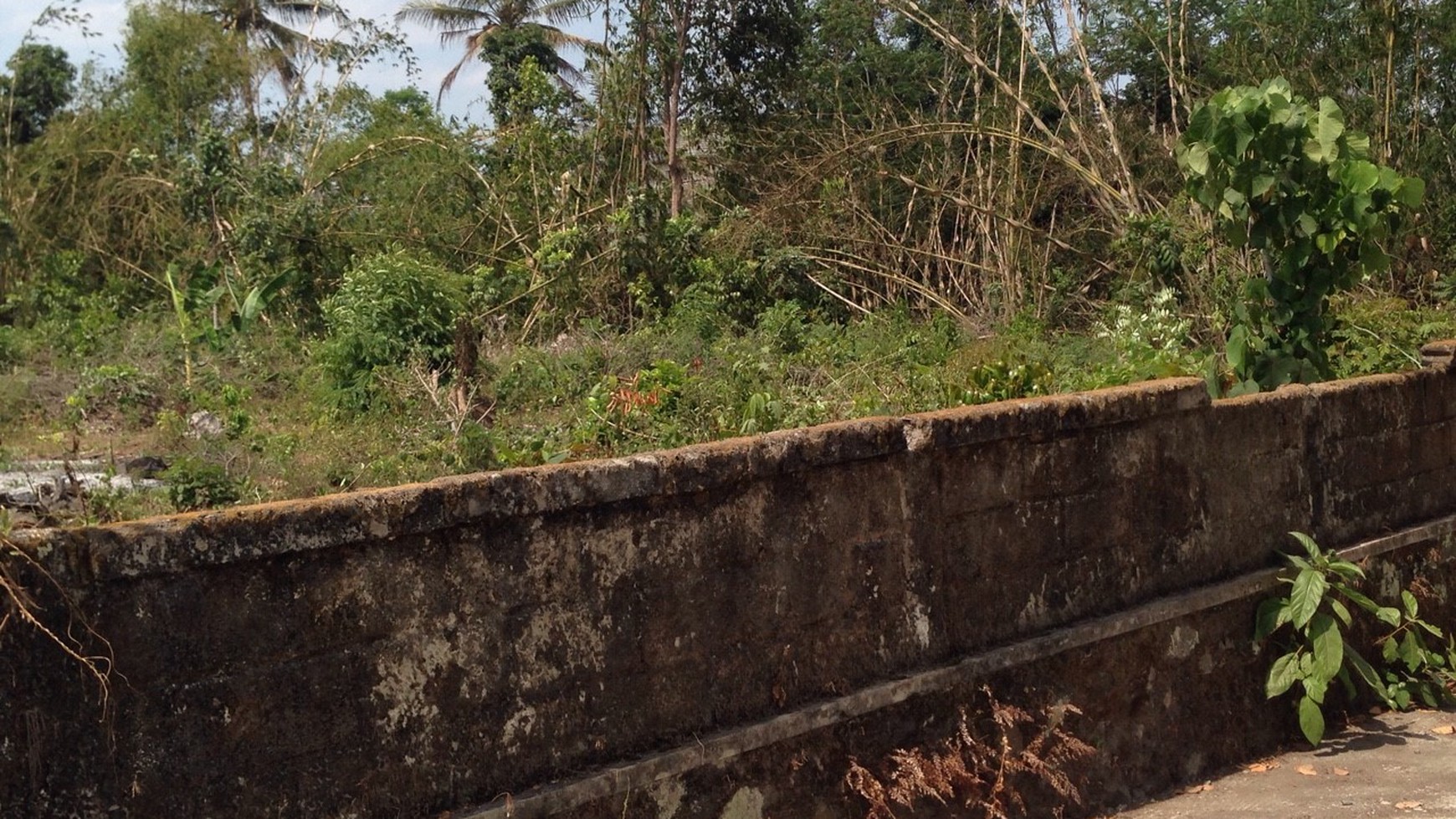 Tanah Luas 3920 Meter Persegi Lokasi Dekat dari Jalan Palagan Ngaglik Sleman 