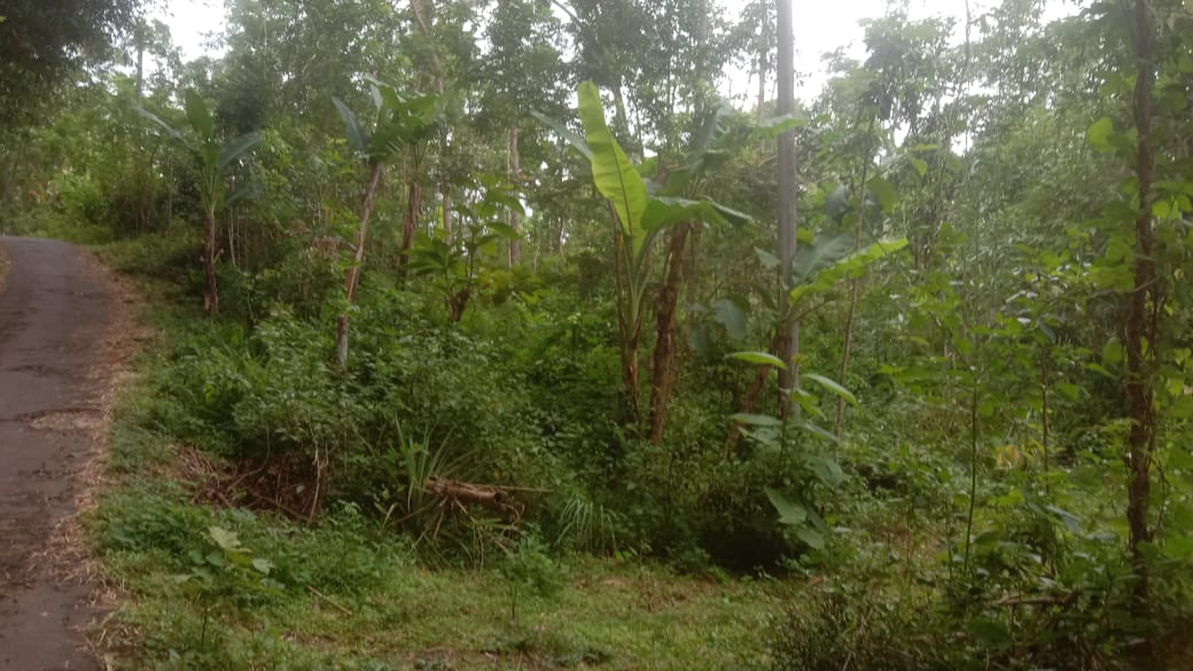 Miliki Tanah Seluas 1225 Meter Persegi Lokasi Patuk Gunung Kidul 