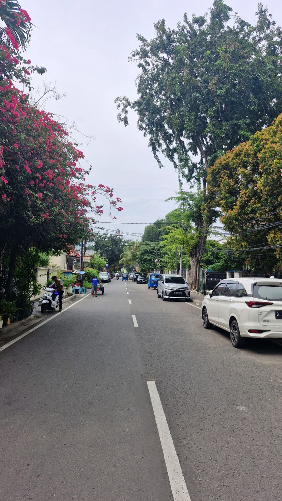 Di jual Rumah Rumah siap huni, terawat strategis di  Jl Cempaka Putih, Jakarta Pusat