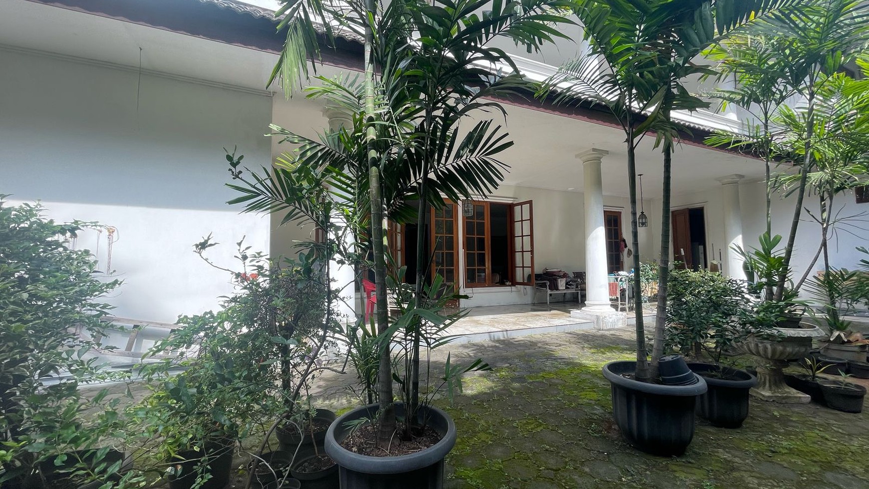 Rumah Asri di Kebayoran Baru