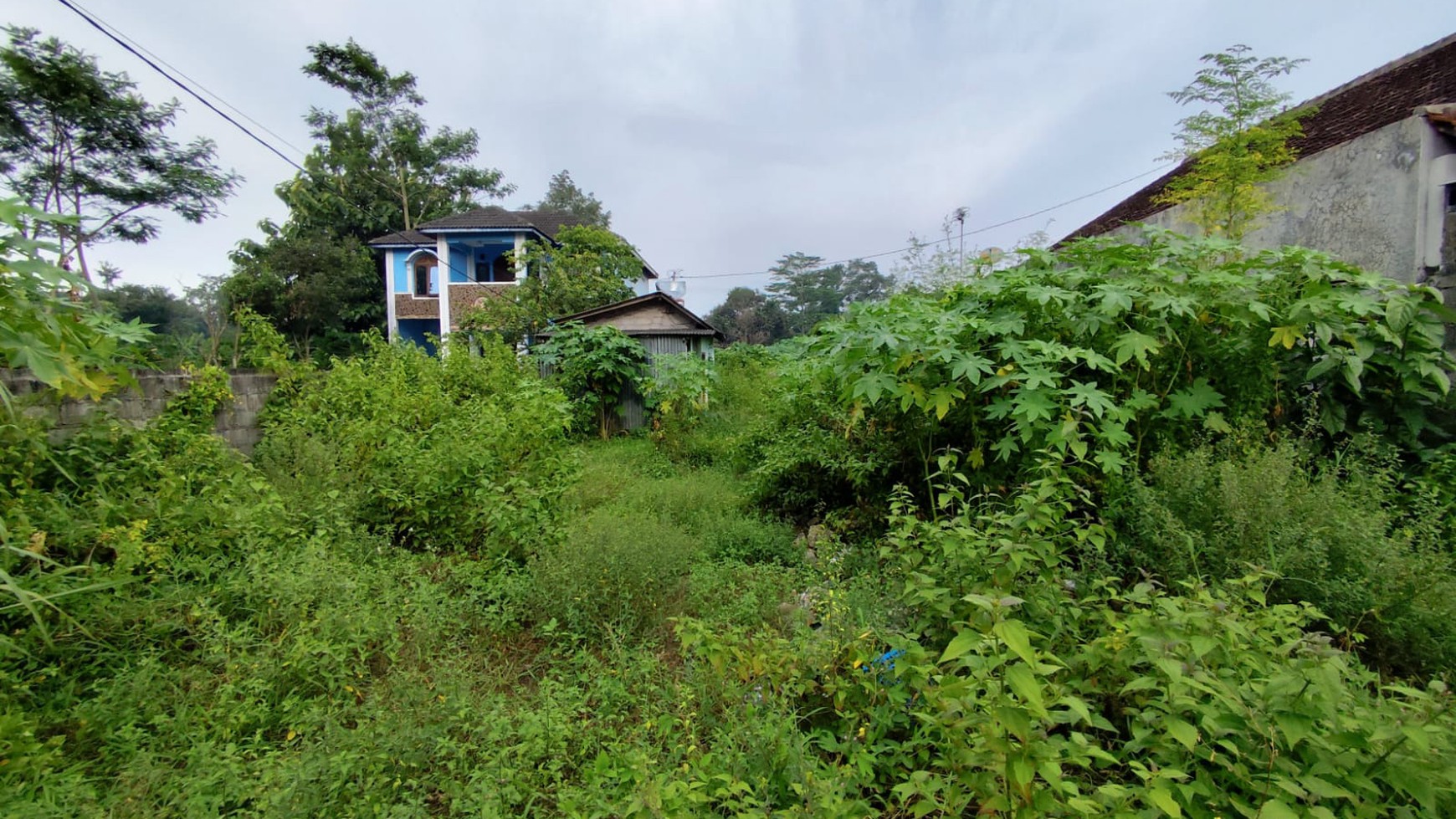 Tanah 1519 Meter Persegi Lokasi Selomartani Kalasan Sleman