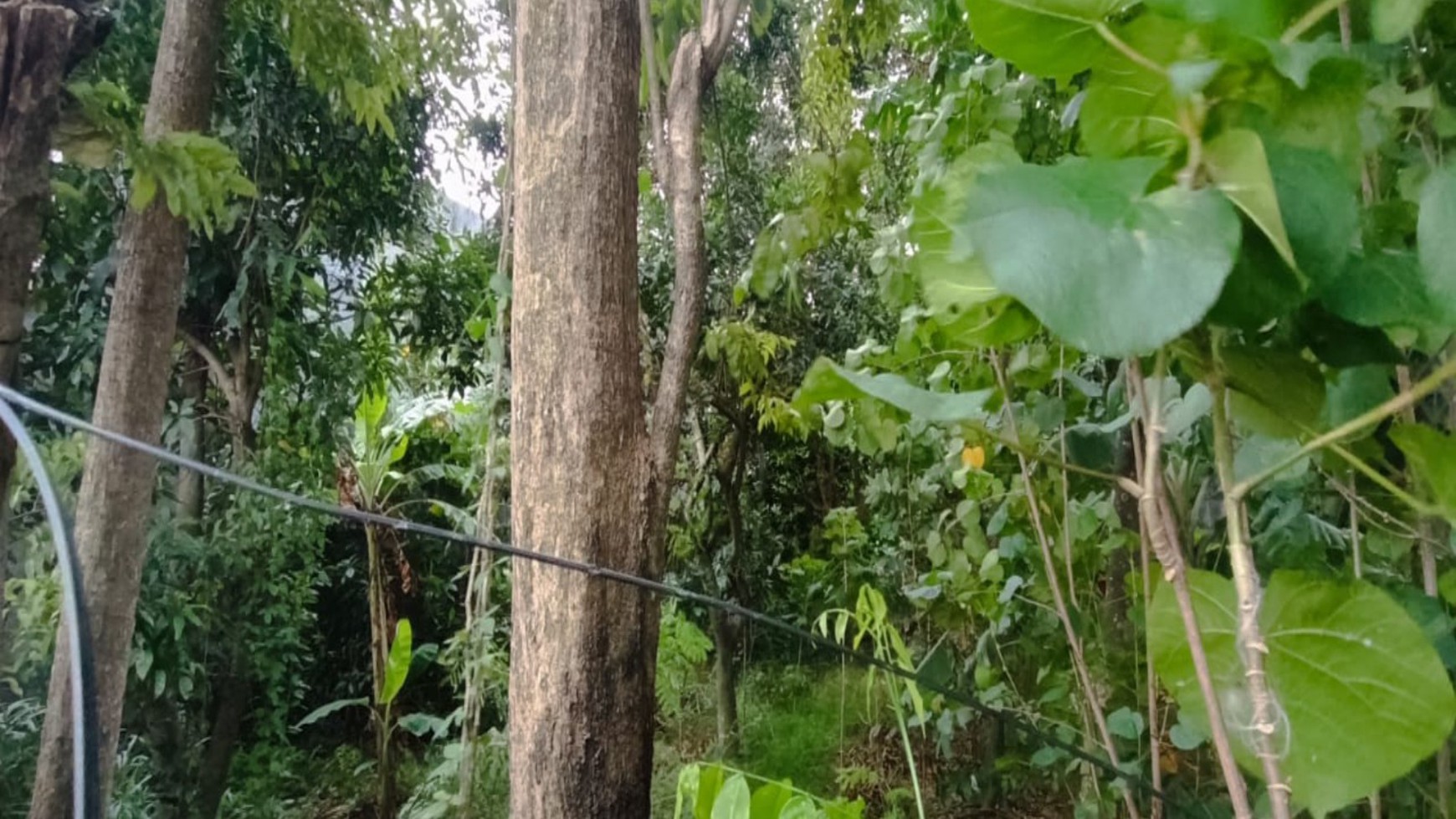 Tanah 1016 Meter Persegi Lokasi Dekat Kampus PGRI Ngestiharjo Kasihan Bantul