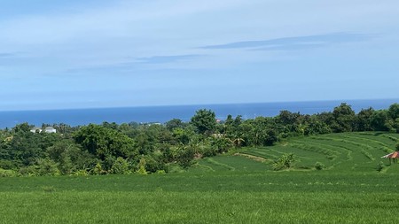 Exceptional Land with Ocean, Rice Field & Mountain Views - Ideal for Development