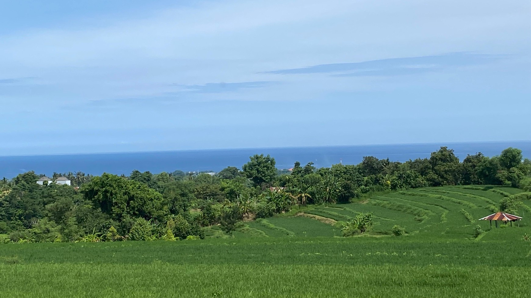 Exceptional Land with Ocean, Rice Field & Mountain Views - Ideal for Development