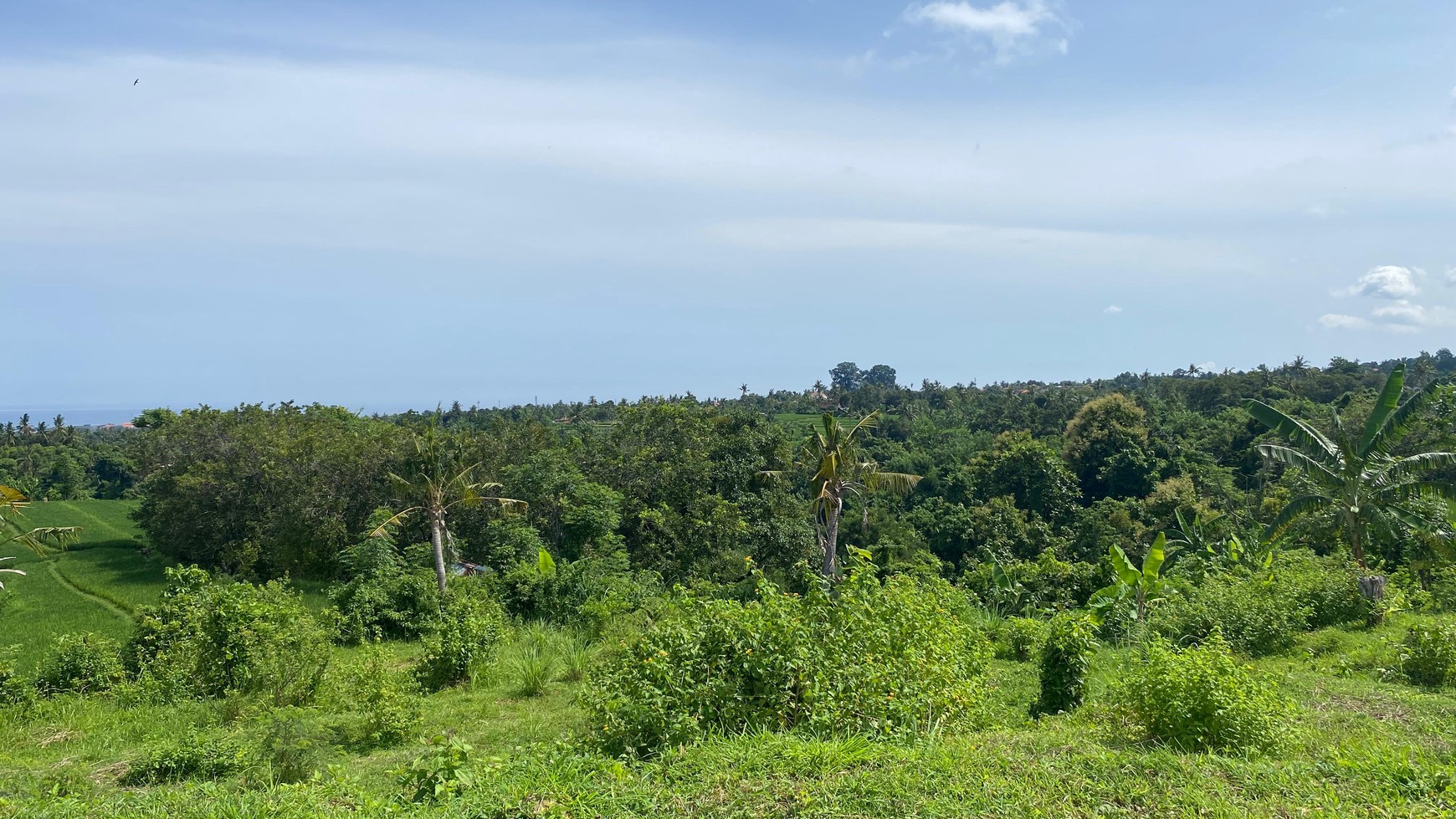 Exceptional Land with Ocean, Rice Field & Mountain Views - Ideal for Development