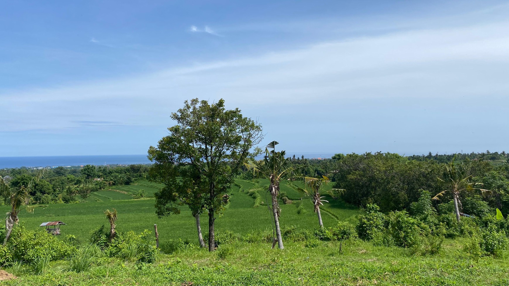 Exceptional Land with Ocean, Rice Field & Mountain Views - Ideal for Development