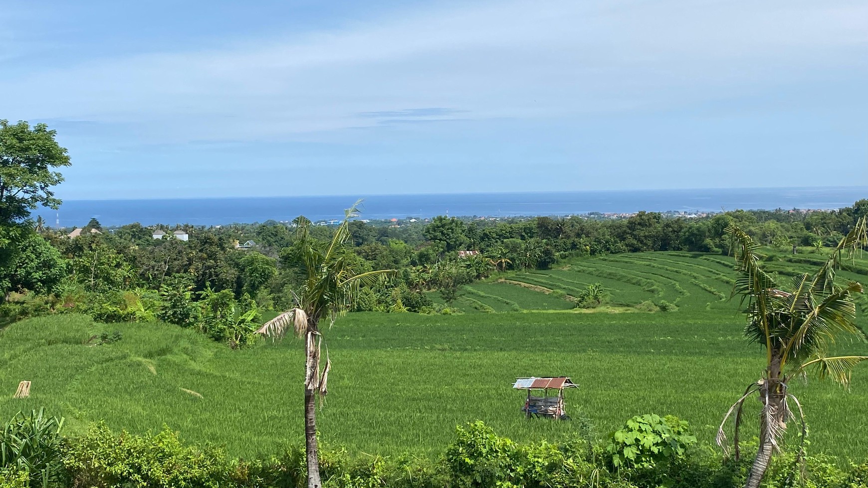 Exceptional Land with Ocean, Rice Field & Mountain Views - Ideal for Development