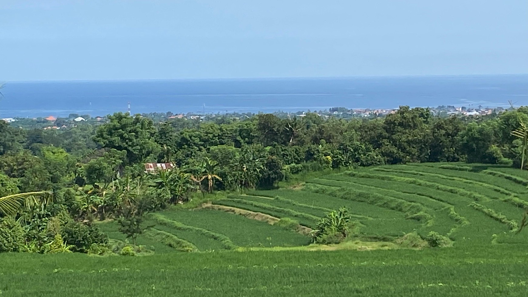 Exceptional Land with Ocean, Rice Field & Mountain Views - Ideal for Development