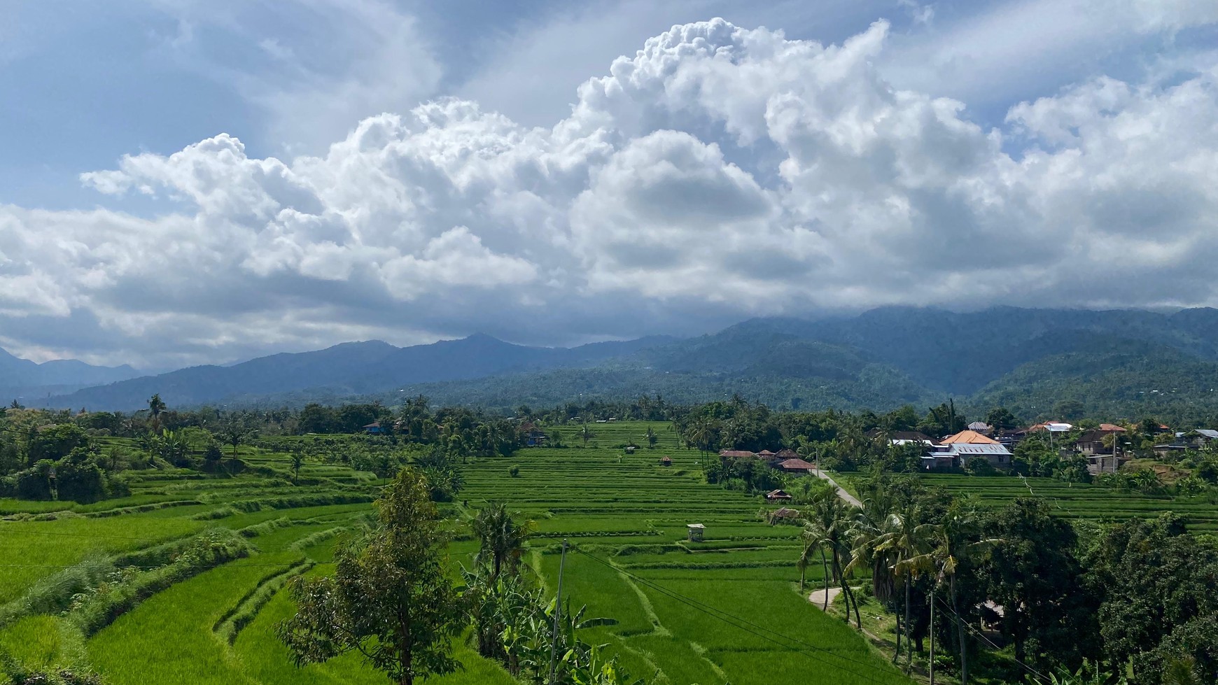 Exceptional Land with Ocean, Rice Field & Mountain Views - Ideal for Development