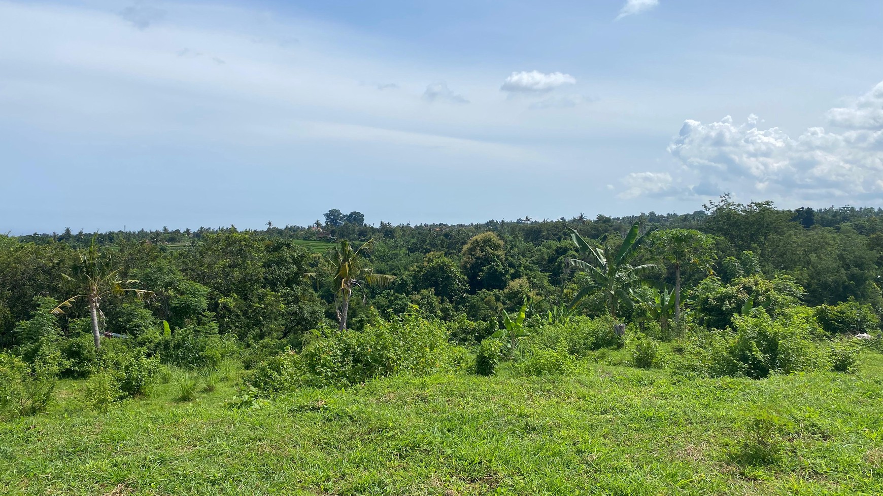 Exceptional Land with Ocean, Rice Field & Mountain Views - Ideal for Development