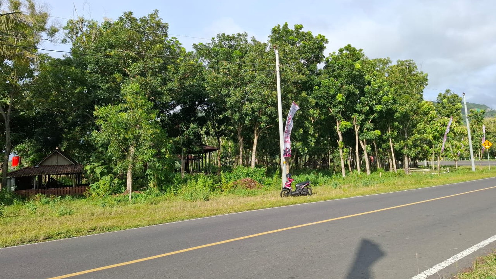 Tanah Tegalan Luas 3000 Meter Persegi Lokasi Strategis di Parangtritis Bantul 