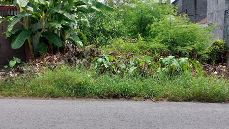 Tanah Sawah 612 Meter Persegi Dekat Ringroad Selatan Kasihan Bantul