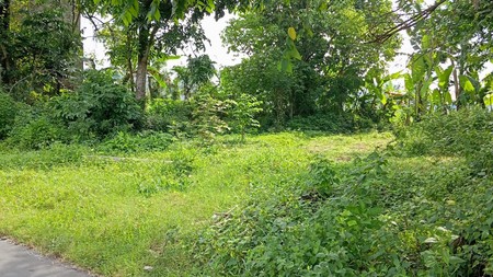 Tanah 226 Meter Persegi Dekat Wisata Candi Prambanan Klaten