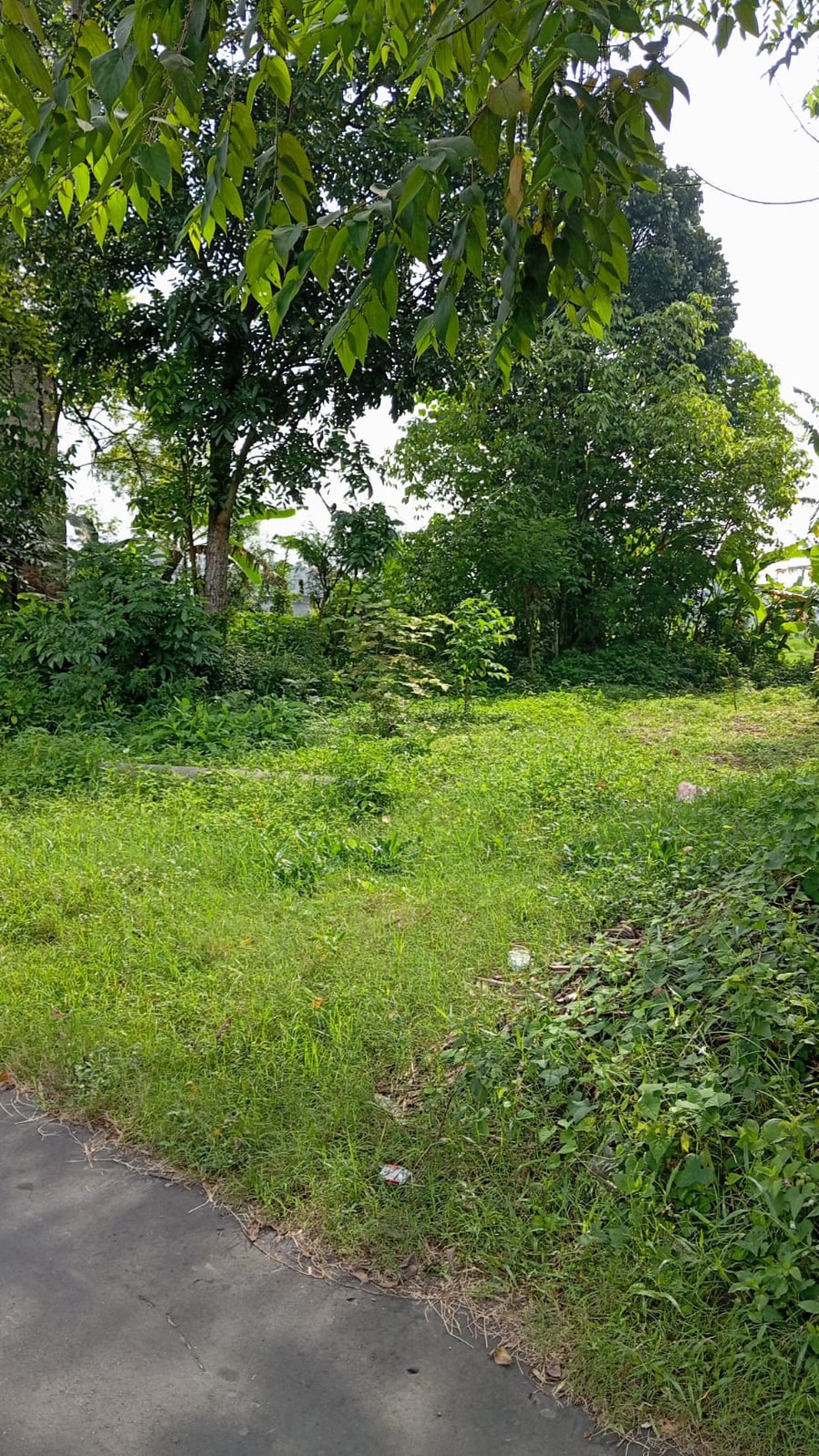 Tanah 226 Meter Persegi Dekat Wisata Candi Prambanan Klaten