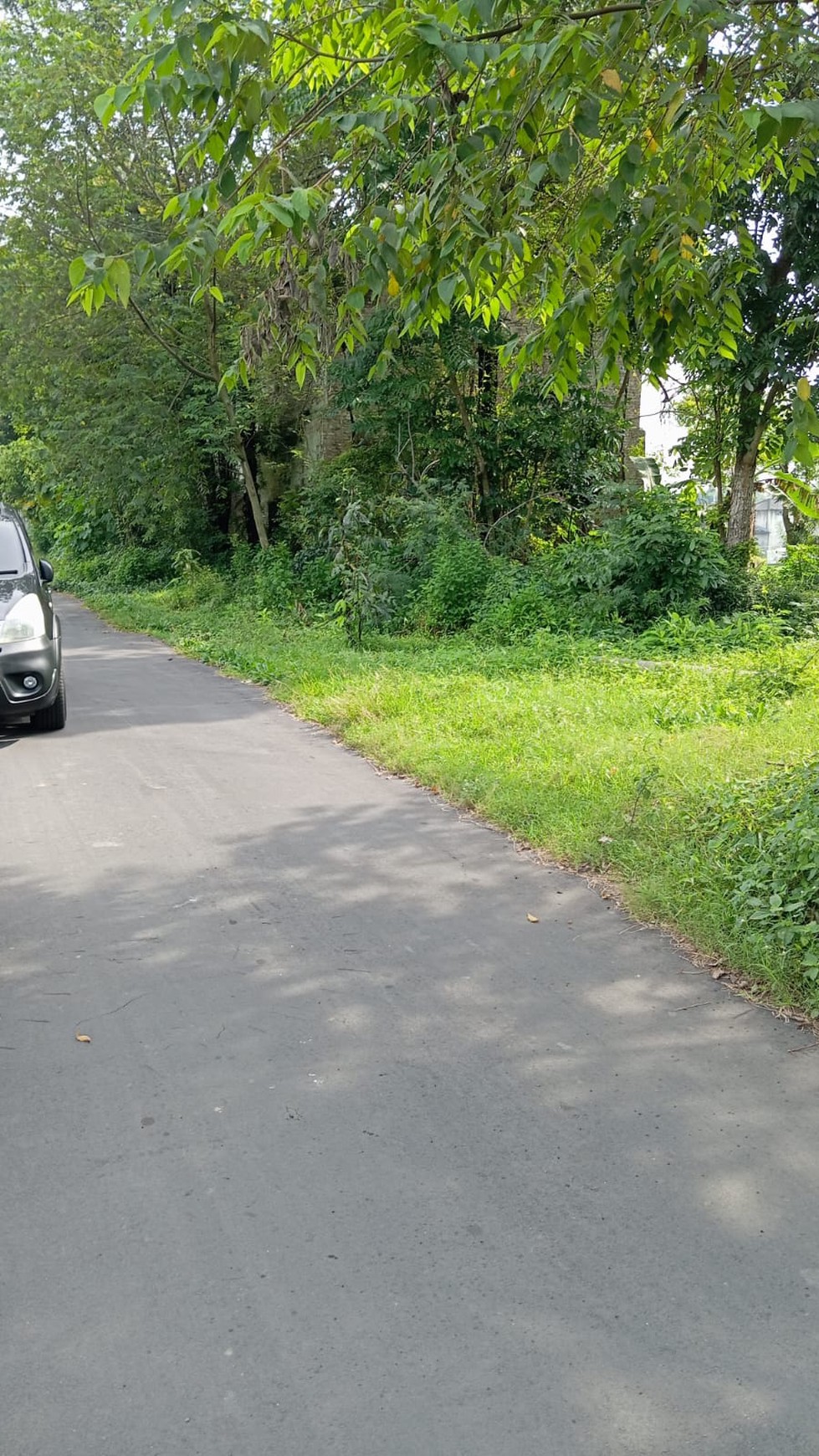 Tanah 226 Meter Persegi Dekat Wisata Candi Prambanan Klaten