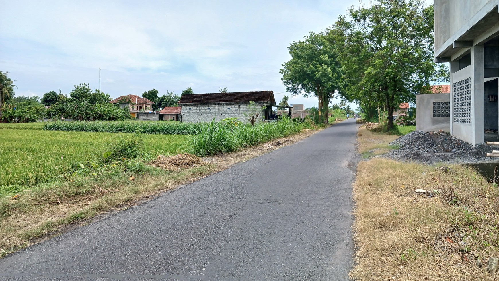 Disewakan Tanah Sawah Hook 854 Meter Persegi Lokasi Jetis Bantul