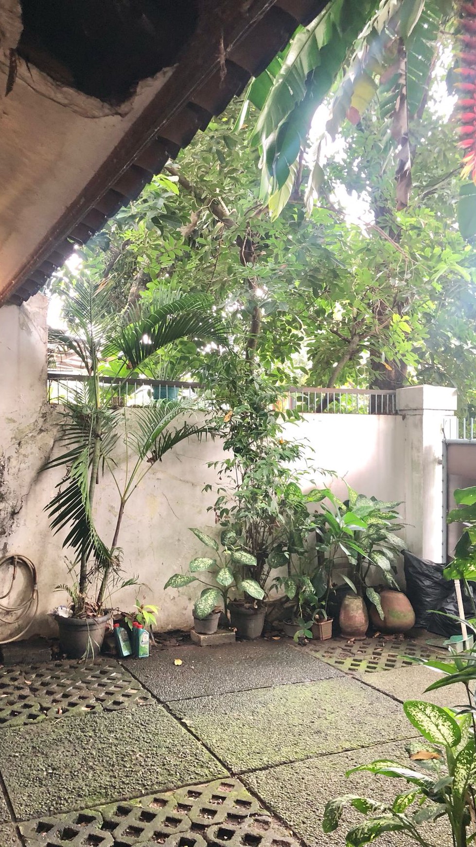 Dijual Rumah Cikini Bintaro Lingkungan Bersih Bebas Banjjr