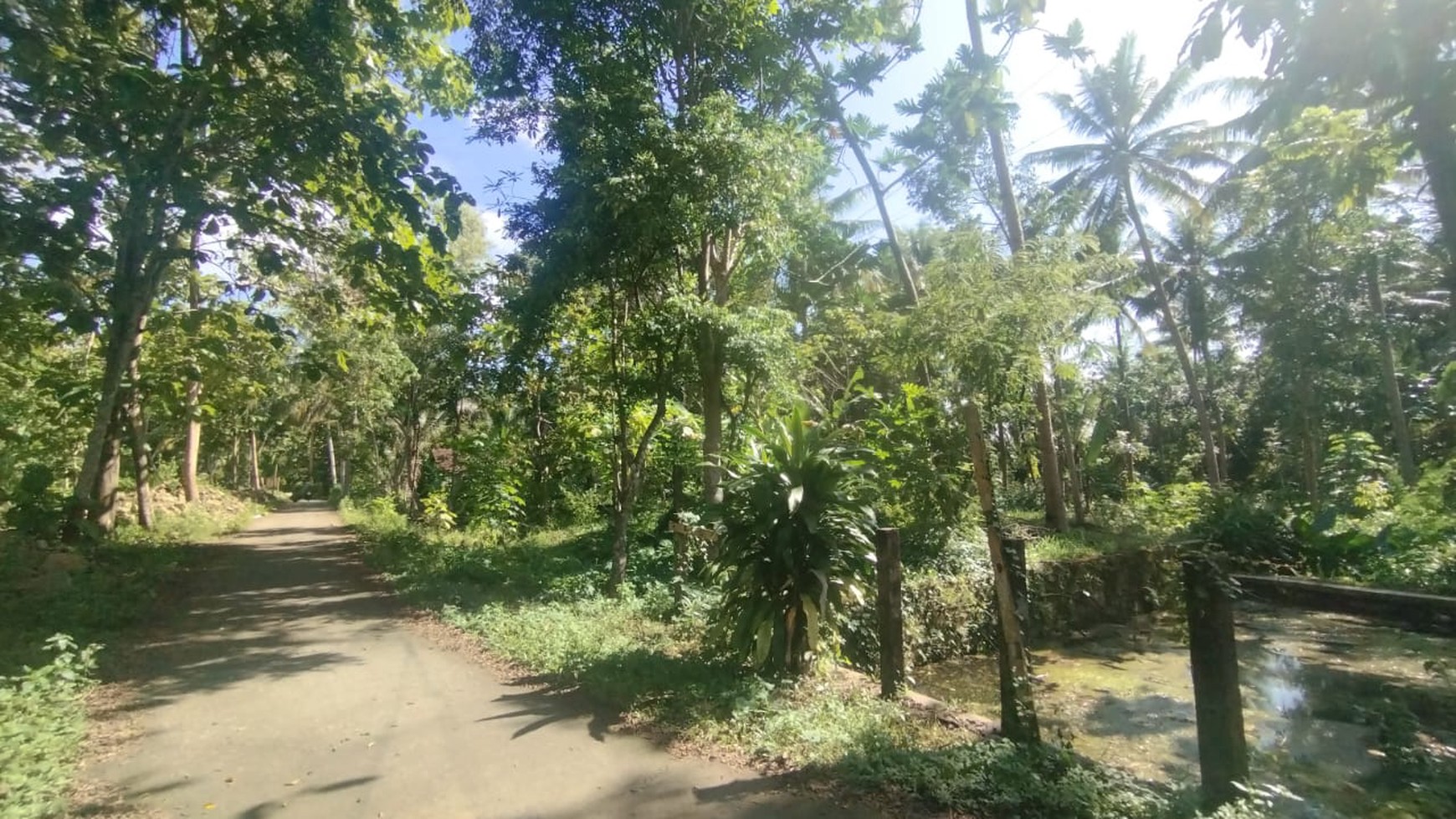 Tanah Pekarangan Luas 1662 Meter Persegi Lokasi Pangasih Kulon Progo 