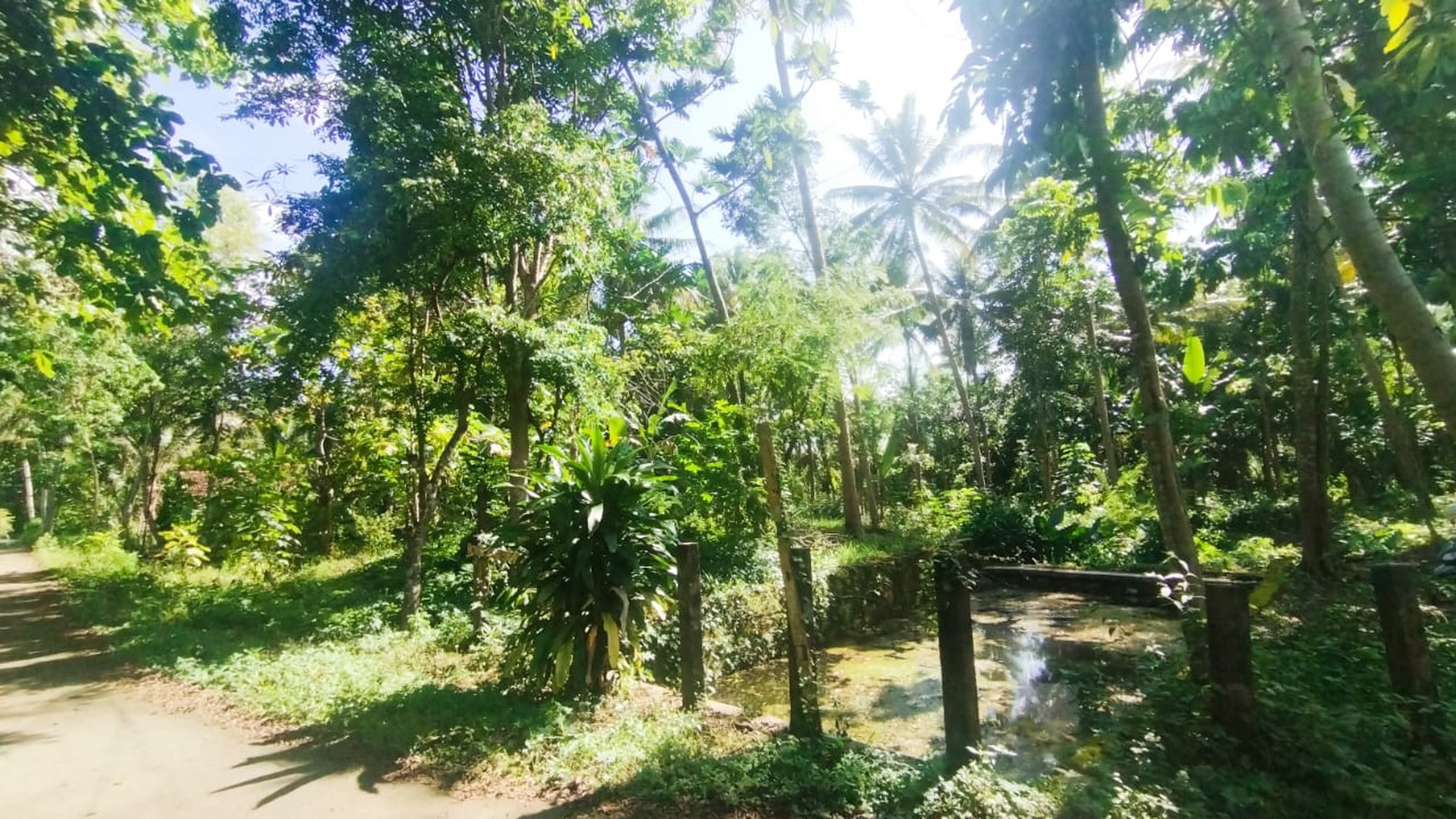 Tanah Pekarangan Luas 1662 Meter Persegi Lokasi Pangasih Kulon Progo 