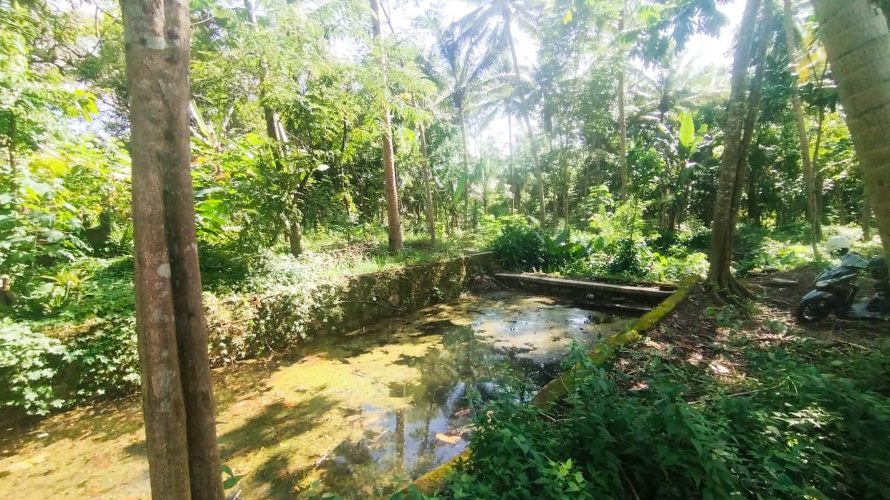 Tanah Pekarangan Luas 1662 Meter Persegi Lokasi Pangasih Kulon Progo 